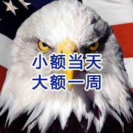 芦淞要账公司